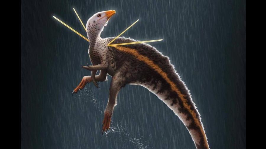 Concepção artística do dinossauro brasileiro Ubirajara jubatus, cujo fóssil voltará ao país - Concepção artística de Bob Nicholls/Paleocreations.com 2023