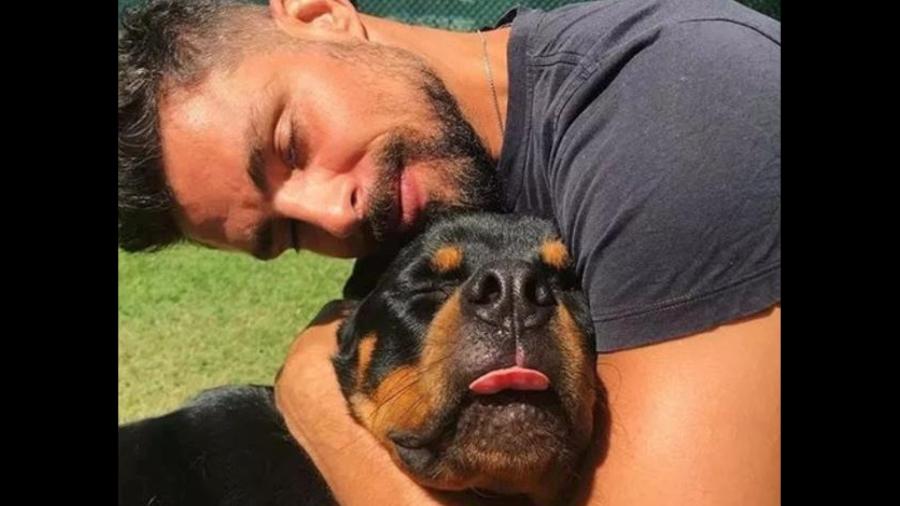 Cachorro de Cauã Reymond morreu após ser envenenado