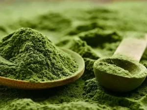 Melhora desempenho músculos, fortalece imunidade: benefícios da spirulina