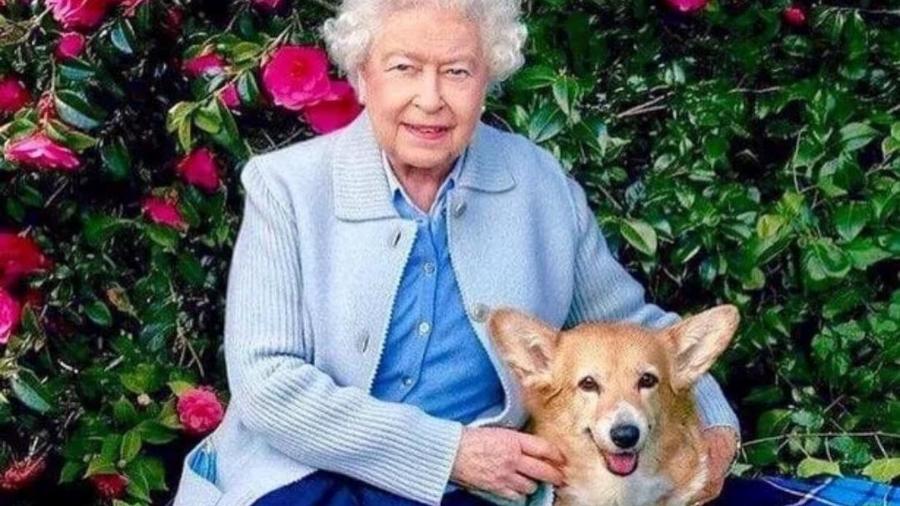 Rainha Elizabeth 2ª e um de seus cães da raça Corgi - Reprodução/Divulgação