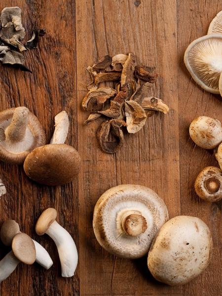 Shitake: Confira 5 benefícios de consumir o cogumelo e como