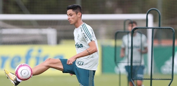 Diogo Barbosa segue em recuperação de entorse no tornozelo - Cesar Greco/Ag. Palmeiras