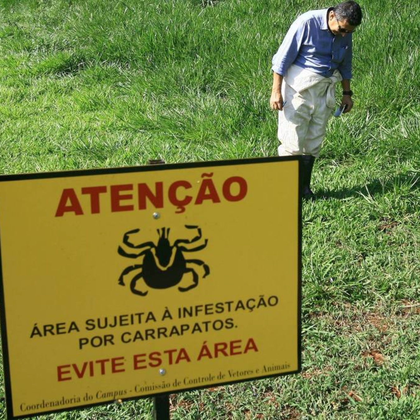 Febre maculosa: casos aumentam em período de seca, veja ações