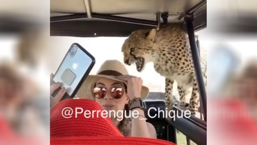 Em um dos posts do @perrengue_chique, turista é surpreendida por guepardo em safári - Reprodução/Instagram