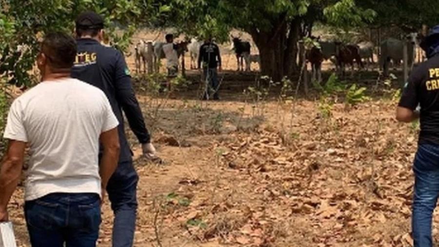 Assassinato aconteceu na zona rural de Confresa (MT) Assassinato aconteceu na zona rural de Confresa (MT)