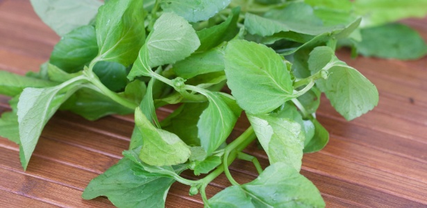 A erva anestesiante Jambu é vista em pratos como o tacacá e até em drinques - Divulgação