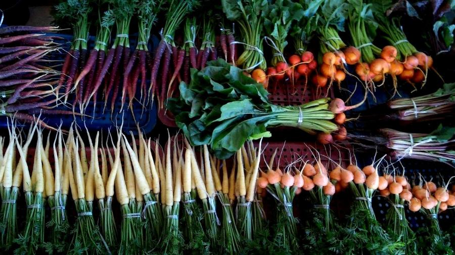 Beterrabas e cenouras multicolores são algumas das raridades produzidas do sítio Rancho Alegre - Divulgação