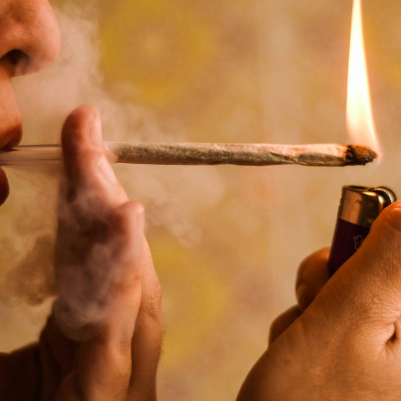 Maconha: como planta foi criminalizada no Brasil?