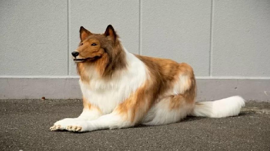 Fantasia de cachorro da raça collie usada pelo artista japonês Toco