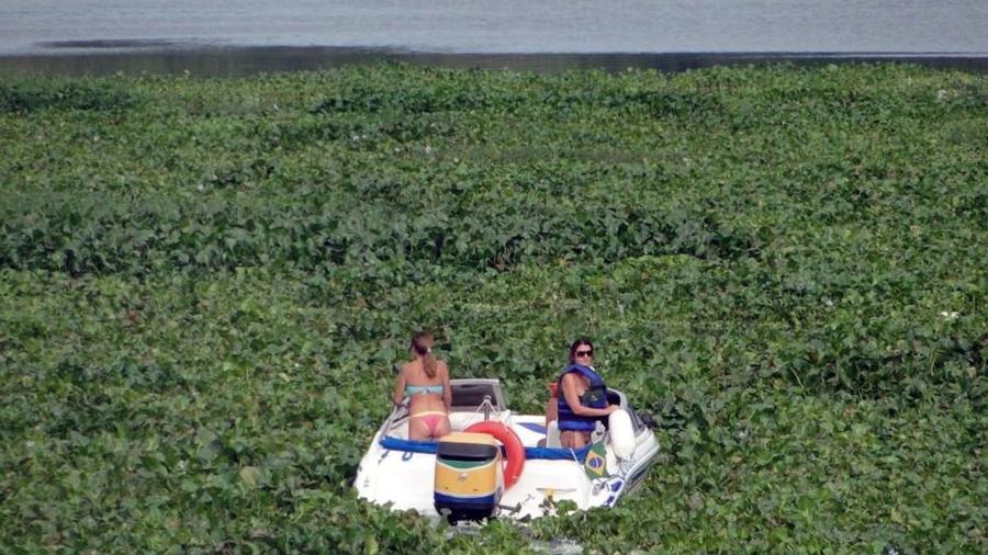 O fenômeno se repete: barco com duas ocupantes chegou a ficar preso em meio ao aguapé na região de Barra Bonita no ano passado - Hélio Palmezan/ONG Mãe Natureza