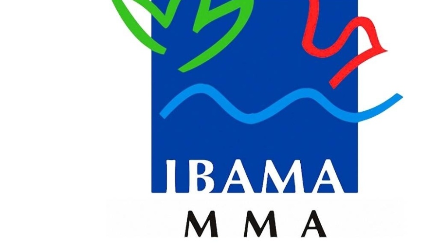 A ANA e o Ibama estabeleceram critérios para a delimitação de reservatório - Reprodução