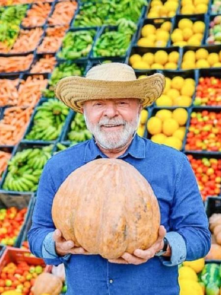 Lula em meio a alimentos Lula em meio a alimentos