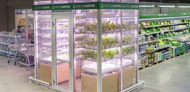 A estufa de vegetais e ervas da startup alemã Infarm no mercado Metro, em Berlim - Divulgação