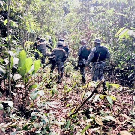 Forças Armadas em ação conjunta com o Ibama na Amazônia - Arquivo Pessoal