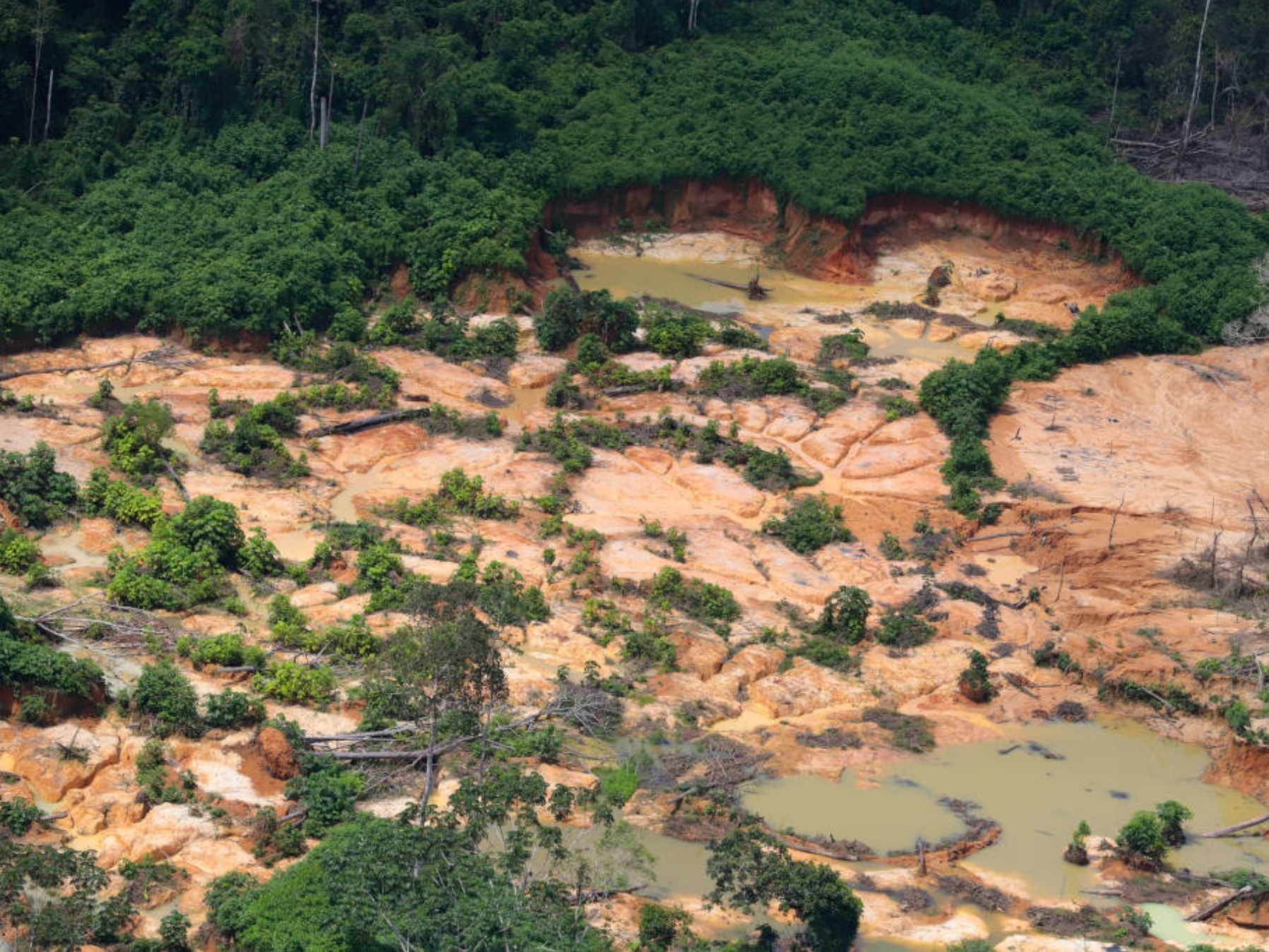 MPF vai apurar responsabilidade do governo na crise yanomami