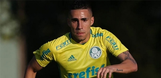 Fabio Menotti/Ag Palmeiras
