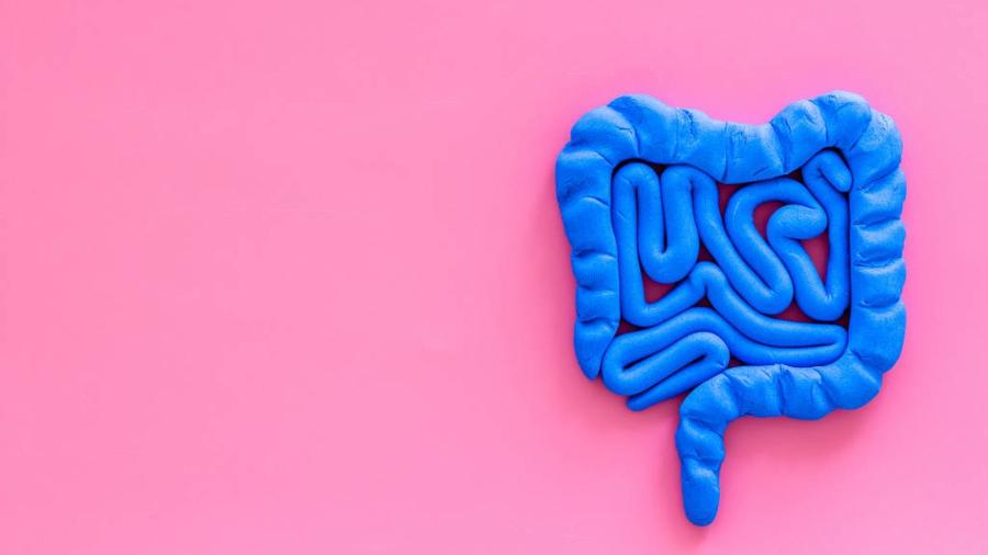 Câncer de intestino aumenta entre os jovens Câncer de intestino aumenta entre os jovens