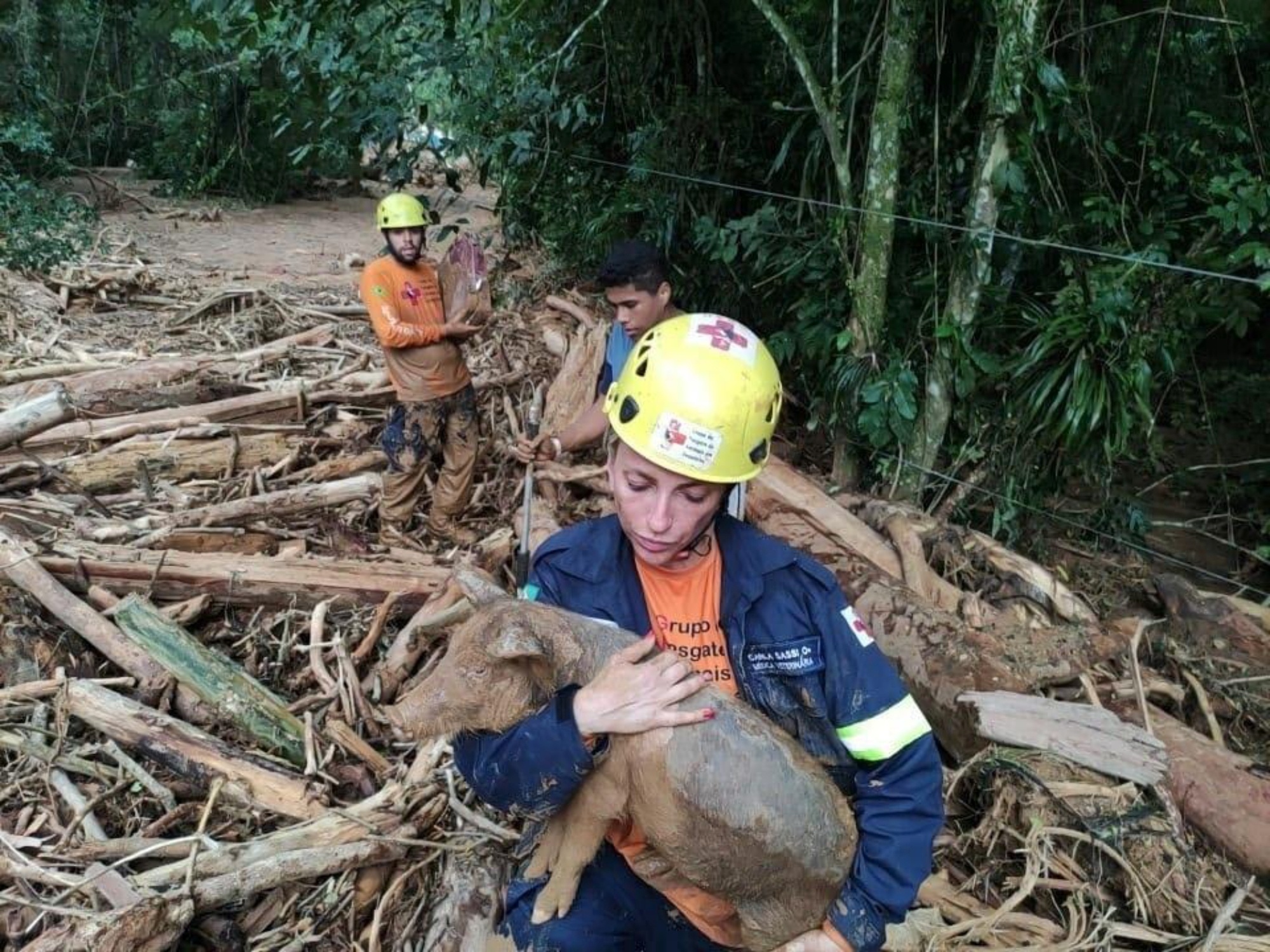 Solidariedade e agressão: tragédia revelou o melhor e o pior do ser humano