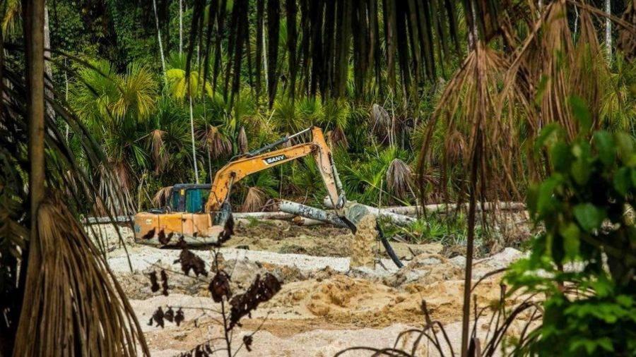 Retroescavadeira faz o desmatamento para o garimpo ilegal na Amazônia - Fernando Martinho/Repórter Brasil