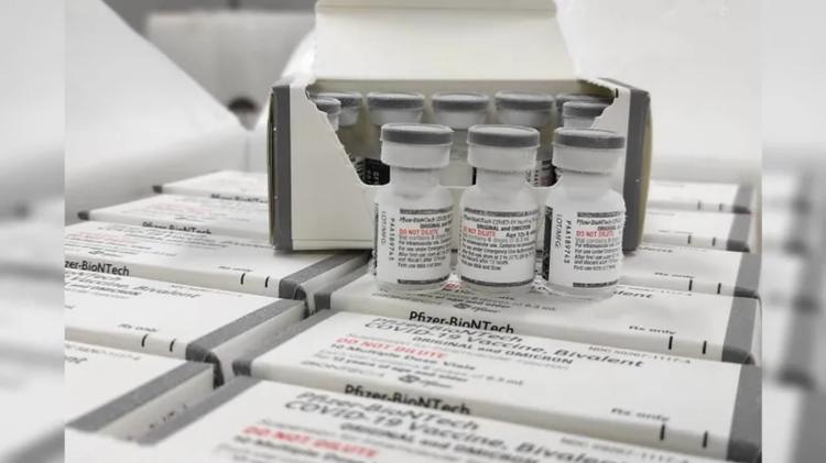 Vacinação com doses bivalente contra a Covid-19 começa nesta segunda - Danilo Avanci/SESA - Danilo Avanci/SESA