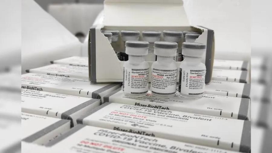 Vacinação com doses bivalente contra a covid-19 começa nesta segunda - Danilo Avanci/SESA