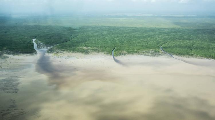 A foz do rio Amazonas, na costa do Brasil e da Guiana Francesa
