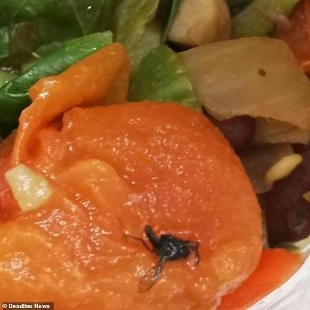 Inseto em salada causou confusão no Reino Unido - Reprodução/Facebook