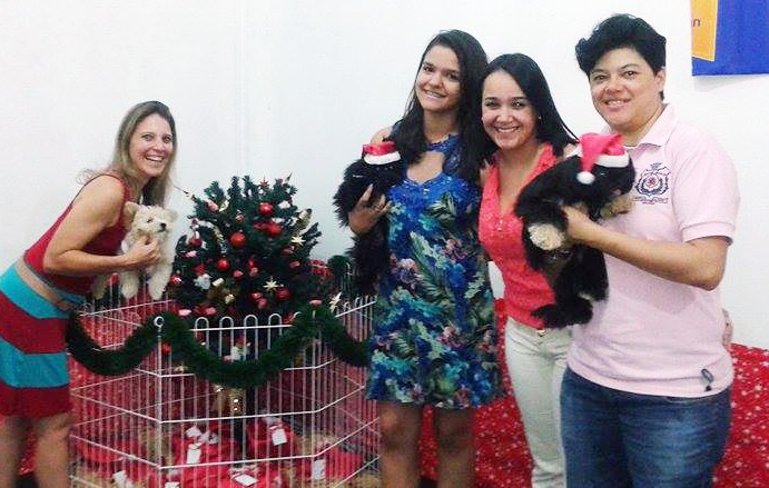 Festa de Natal organizada por pet shop em Ribeirão Preto (SP) 