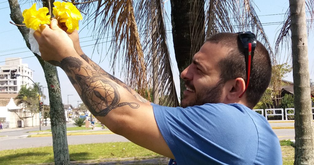 Chef catarinense ensina a usar ipê amarelo, plantas da praia e outras PANCs  - UOL VivaBem