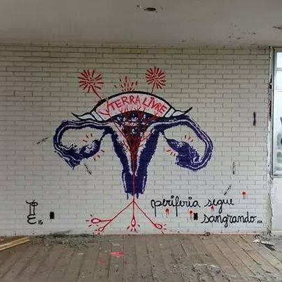 Os traços aparentemente suaves dos úteros em fúria desenhados por Carolina Itzá estão grafitados nos muros de várias periferias da Zona Sul de São Paulo (Foto: reprodução Facebook)