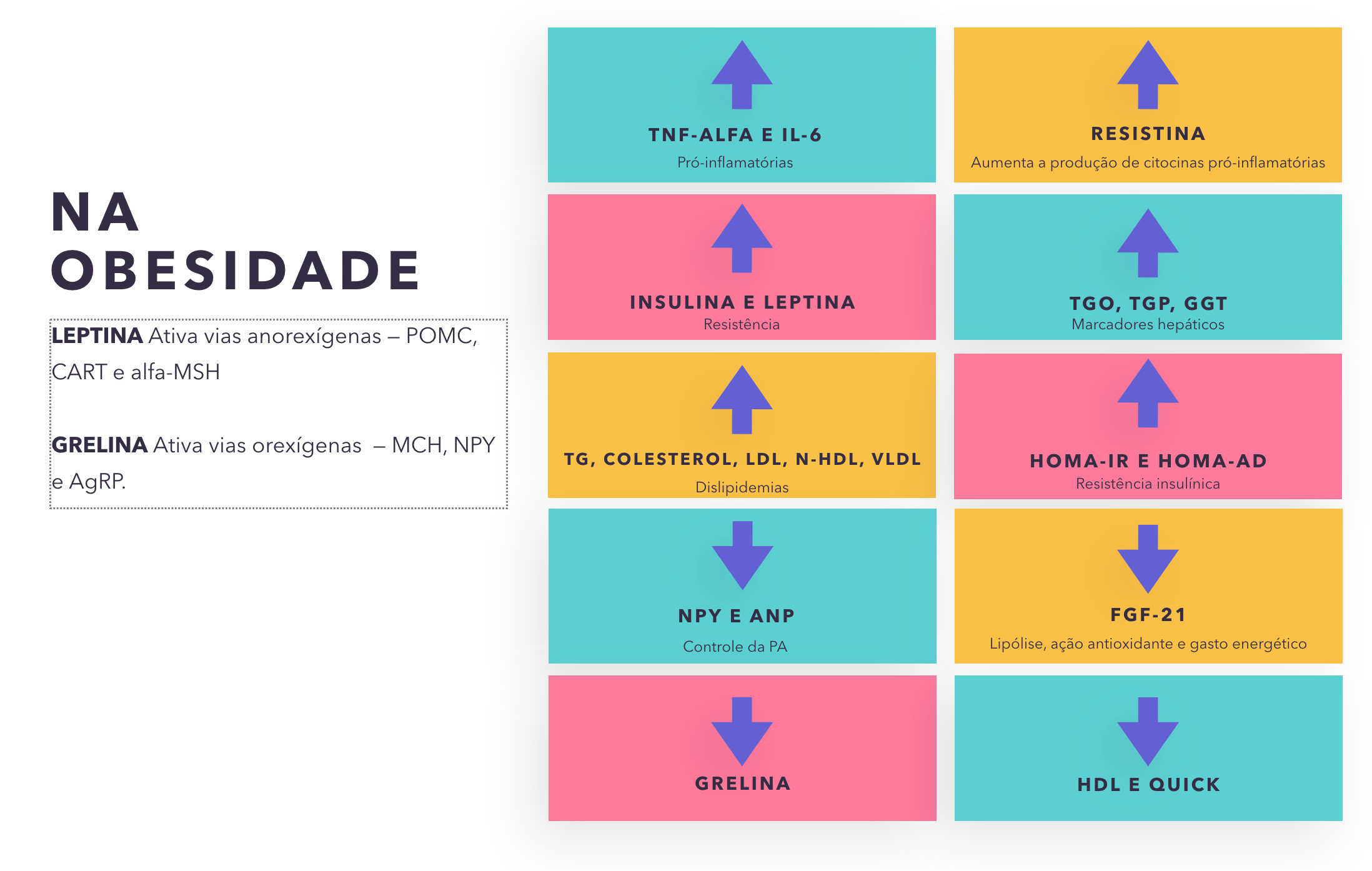 Por Que A Obesidade é Considerada Uma Condição De Alto Risco Entenda Uol Vivabem 0557