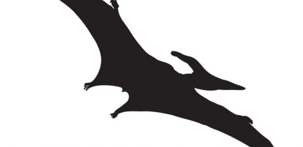 Lula X Bolsonaro 2: Papo sobre 2ª instância é falso; querem é petista preso