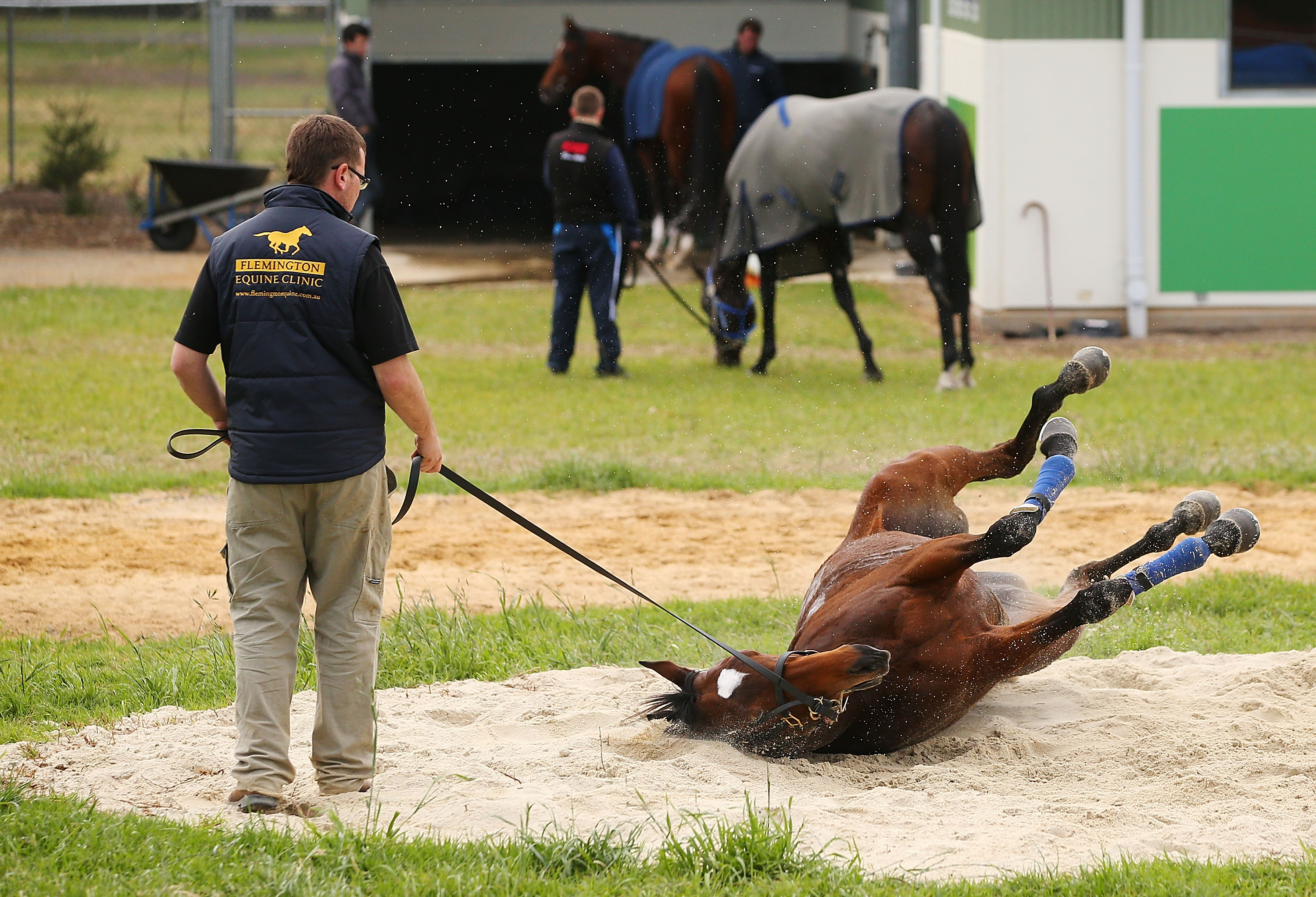 Werribee Trackwork Session