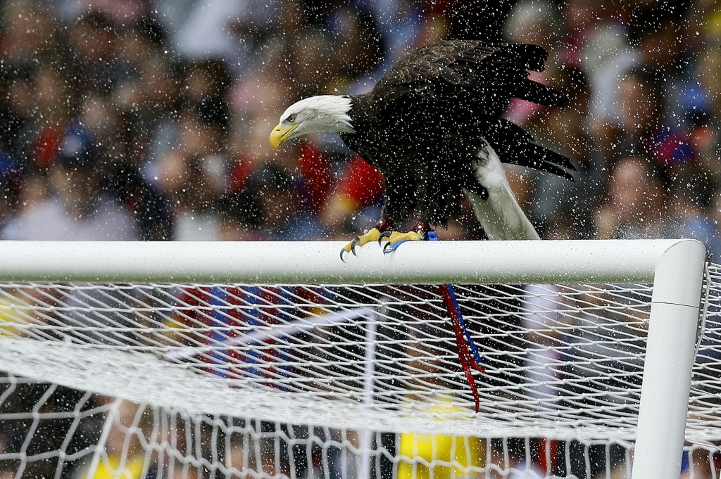 Kayla, a águia mascote do Crystal Palace (Crédito: Kirsty Wigglesworth/AP Photo)