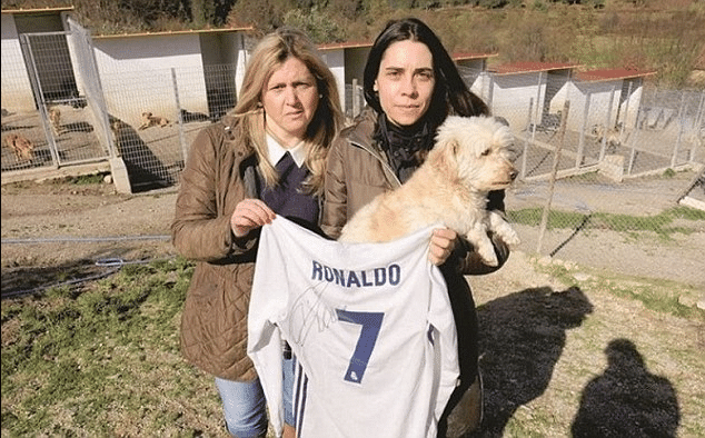cr7 cachorro
