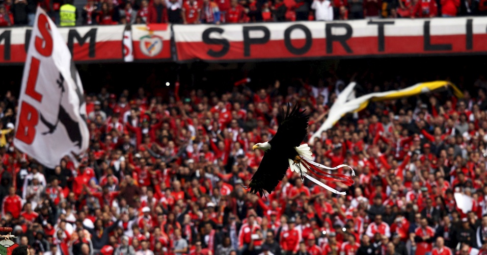 Mascote do Benfica, águia voa para fora de estádio e volta um dia