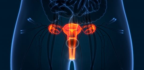 Júlia Rocha | Morrer por câncer é para mulheres pretas e pobres