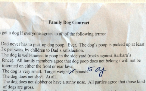 Contrato familiar determina regras sobre como lidar com cães