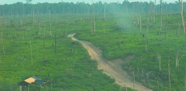 Trabalho escravo é usado no desmatamento da Amazônia, diz chefe do MPT