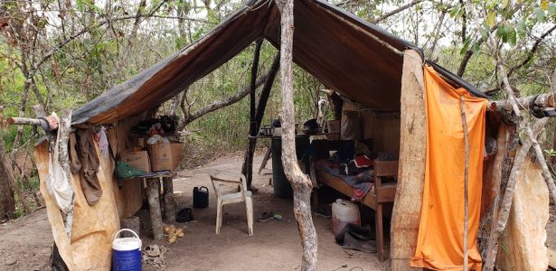 No Mato Grosso do Sul | Paraguaios são resgatados da escravidão após 10 anos em fazenda