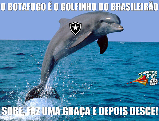 Golfinho F.C