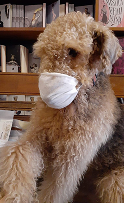 ão Gaspar livraria argumento