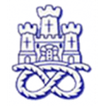 Newcastle Town logo