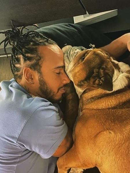 Hamilton e seu cachorro Roscoe, um buldogue, que também adotou dieta vegana - Reprodução/Instagram