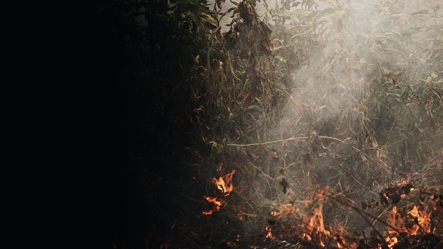 Imagem aérea mostra região do Pantanal devastada após queimadas - Rafael Visentainer/Arquivo Pessoal