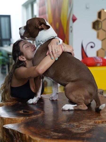 Pugliesi e seu cachorro Buda - Reprodução/Instagram