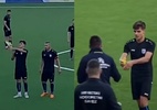 Papagaio perdido pousa em ombro de jogador e interrompe partida na Croácia