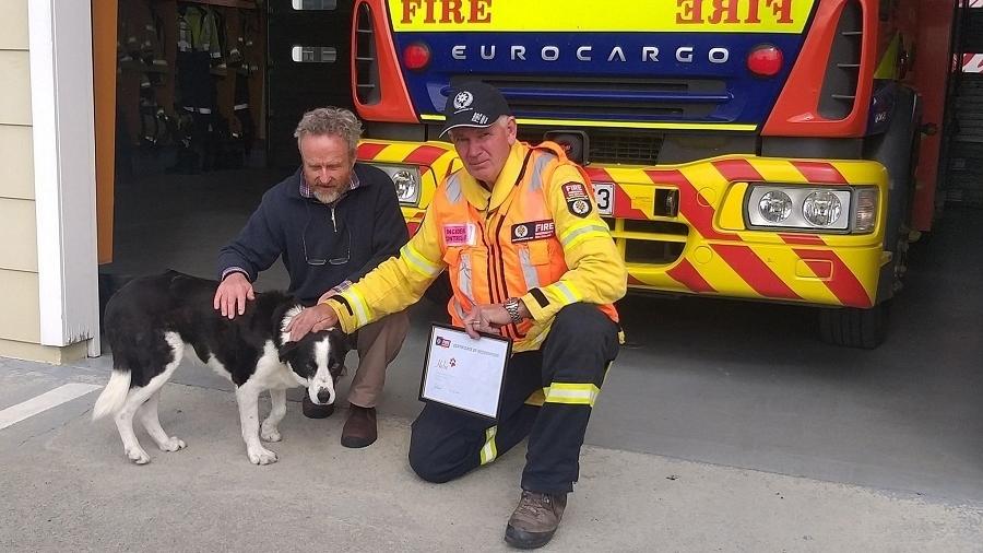 O cãozinho Hebe recebeu o reconhecimento de bravura dos Bombeiros e foi chamado de "bombeiro honorário" - Reprodução/Facebook/Fire and Emergency NZ