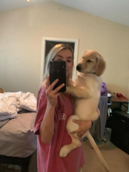 "Bumbum avantajado" de cachorro em foto chama atenção nas redes sociais - Reprodução/Instagram