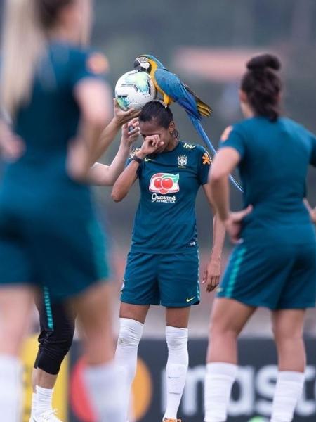 Arara Pelé pousa na jogadora Bruna Benites em treino da seleção - Reprodução/Instagram